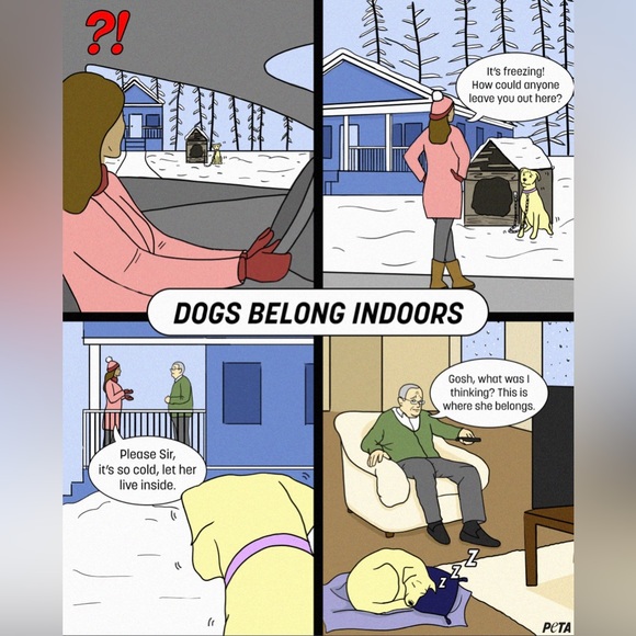 🥶 ❄️🧊BRING IN PETS INSIDE IN FRIGID TEMPS!! BESIDES, ITS THE LAW!!🙏🐕🐈‍⬛🐇🐈 - Picture 2 of 14